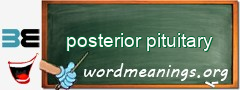 WordMeaning blackboard for posterior pituitary